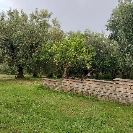 Apartmán Domus Claudio In Villam