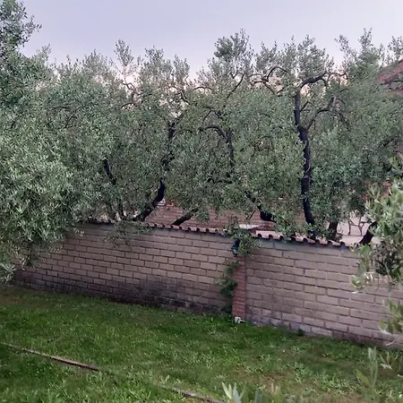 Domus Claudio In Villam * Pomezia