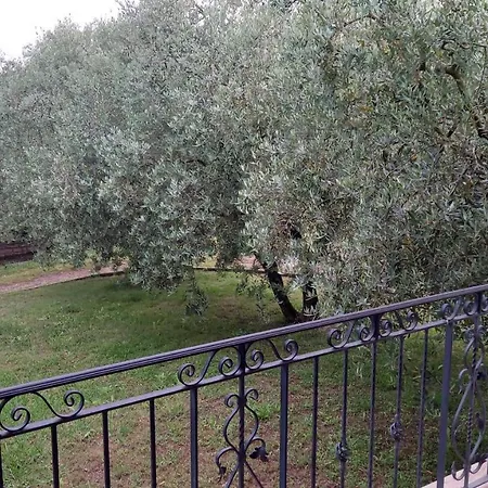 Apartmán Domus Claudio In Villam Pomezia